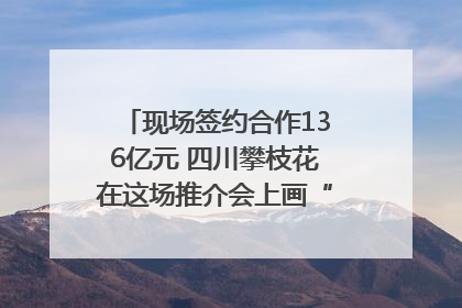 现场签约合作136亿元 四川攀枝花在这场推介会上画“图谱”列“清单”